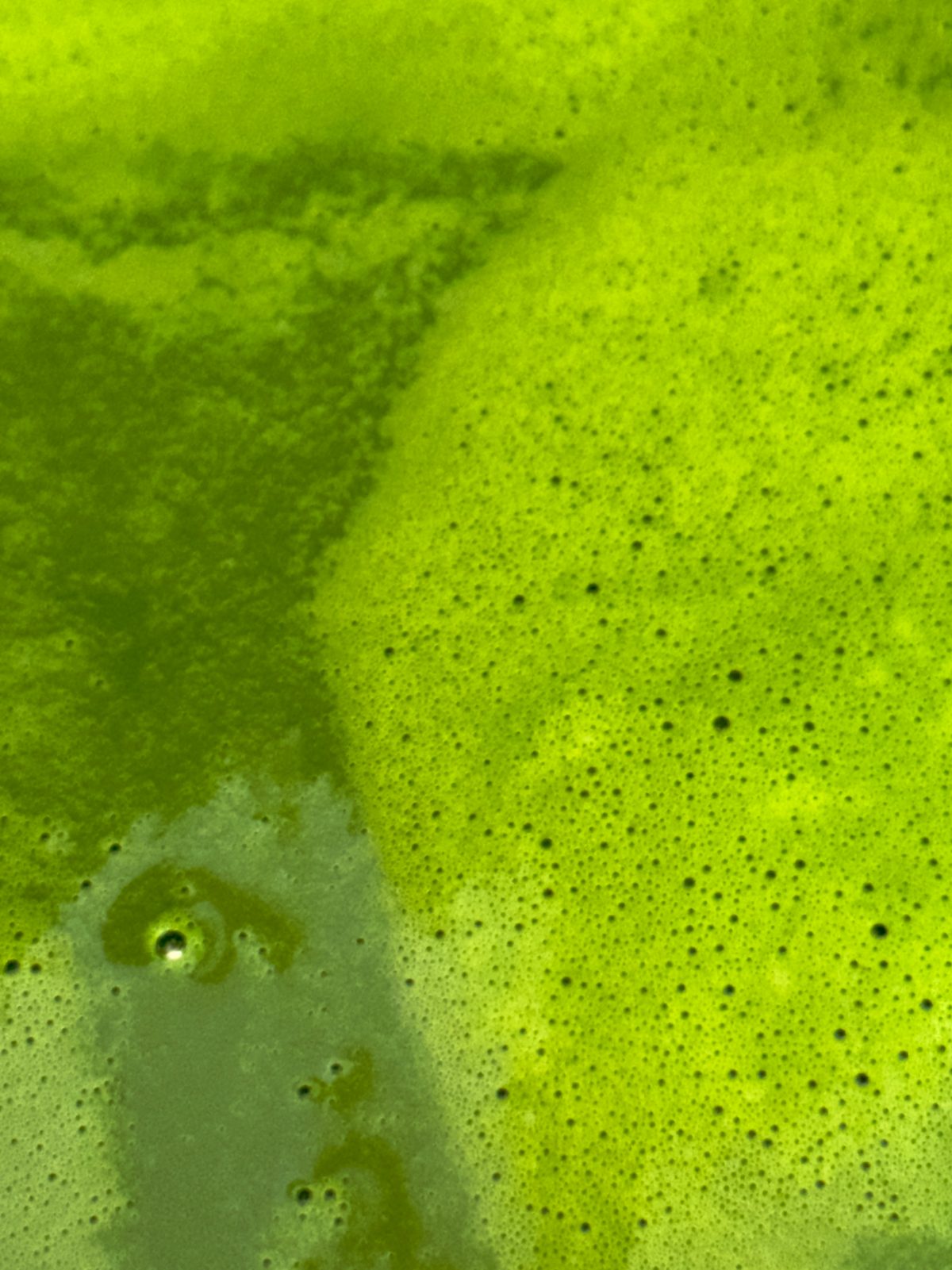 The Matcha House — ceremonial matcha close-up